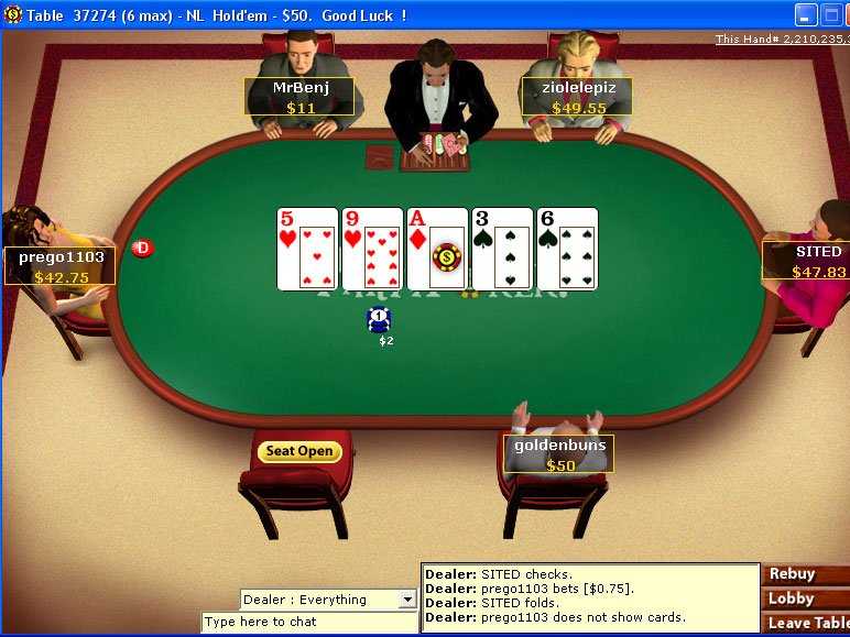 poker players in the online casinos